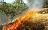 فرمانده انتظامی مسجدسلیمان خبر داد: دستگیری عاملان آتش سوزی مراتع درمسجدسلیمان
